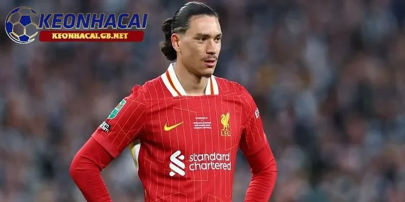 Darwin Nunez là mục tiêu hàng đầu của Napoli và Atletico Madrid trong mùa hè tới Darwin Nunez là mục tiêu hàng đầu của Napoli và Atletico Madrid trong mùa hè tới