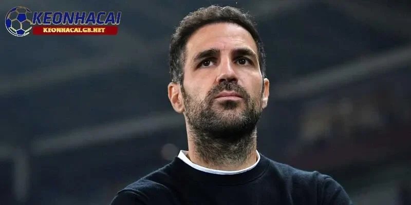 Cesc Fabregas tiếp tục từ chối làm thuyền trưởng của đội bóng lớn Cesc Fabregas tiếp tục từ chối làm thuyền trưởng của đội bóng lớn